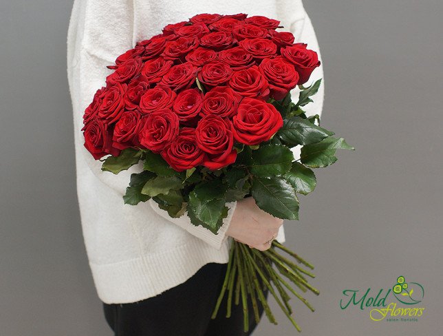 Роза Красная голландская 50-60 см Фото