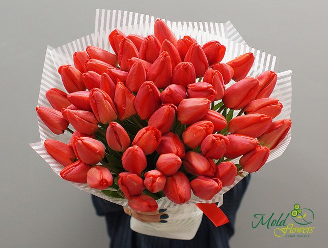 Red Tulip photo