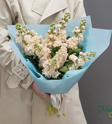 Cream Stock Bouquet photo 394x433