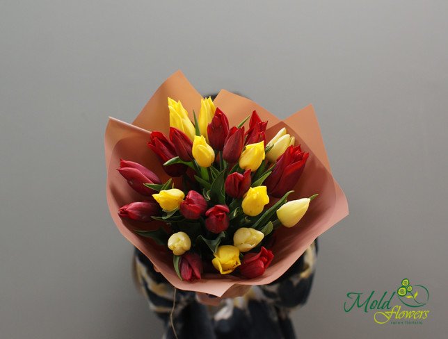 Multicolored Tulips photo