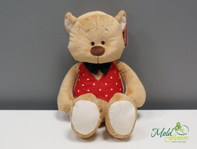 Hand-knit Teddy Bear in Jacket H=42cm photo