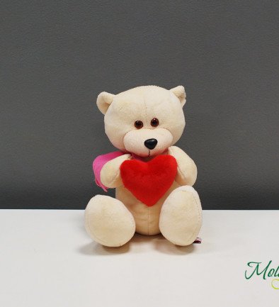 Teddy Bear with Heart H=20 cm photo 394x433