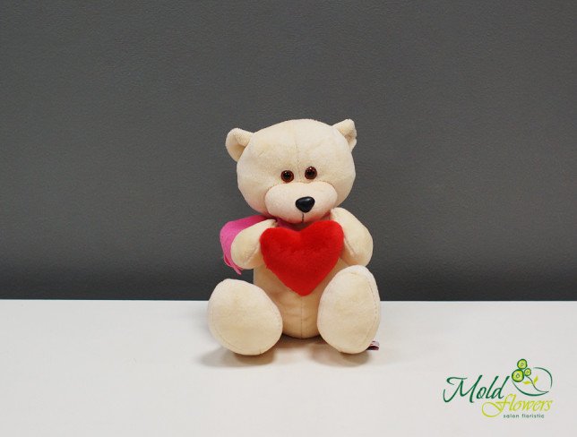 Teddy Bear with Heart H=20 cm photo