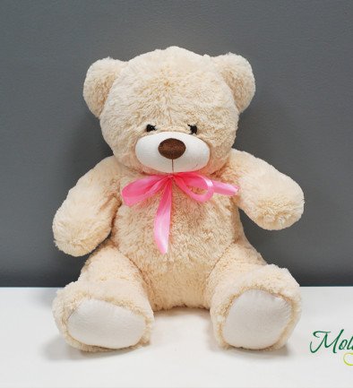 Medium Teddy Bear H=80cm photo 394x433