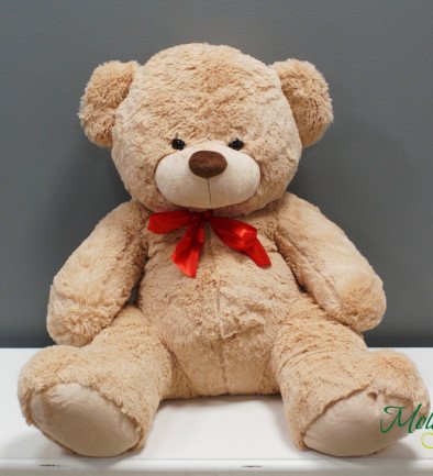 Teddy Bear 1, Height=100 cm photo 394x433
