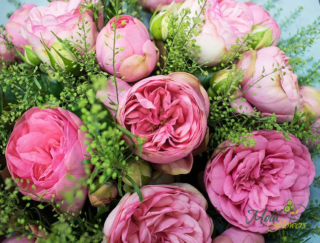 Bouquet of pink peony-style roses photo