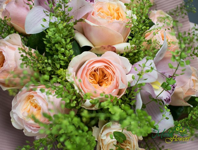 Bouquet of cream peony-type roses photo