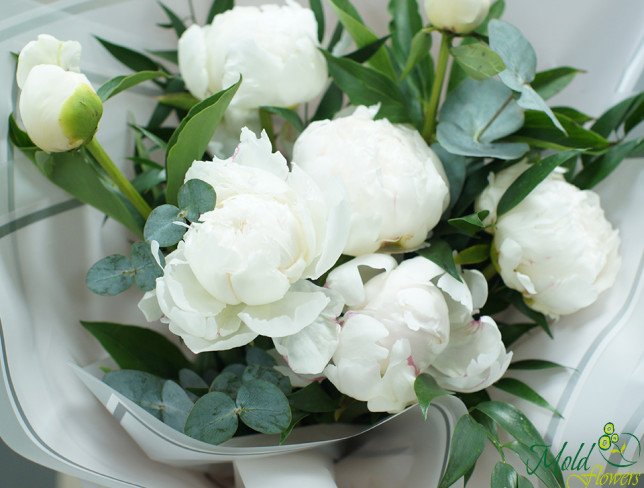 Bouquet of white peonies photo