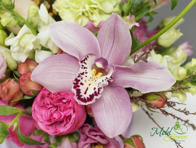 Purple Box with Roses and Orchids photo