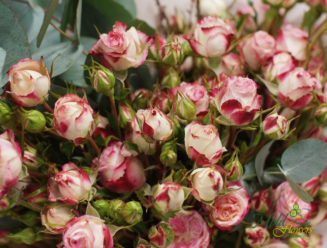 Букет из розовых кустовых роз Фото