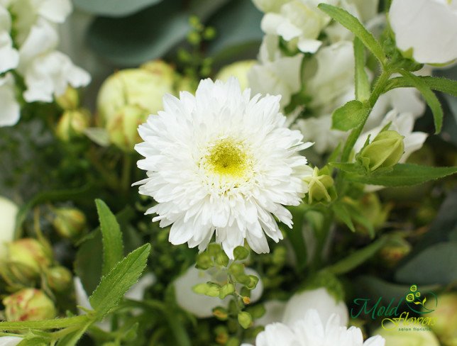 Bouquet of white flowers photo