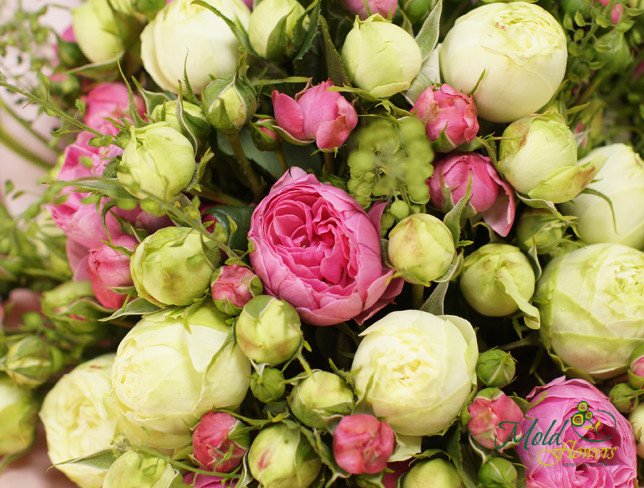 Bouquet of Pink and Green Roses photo
