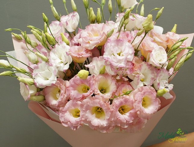 Букет из розовых и белых эустом Фото