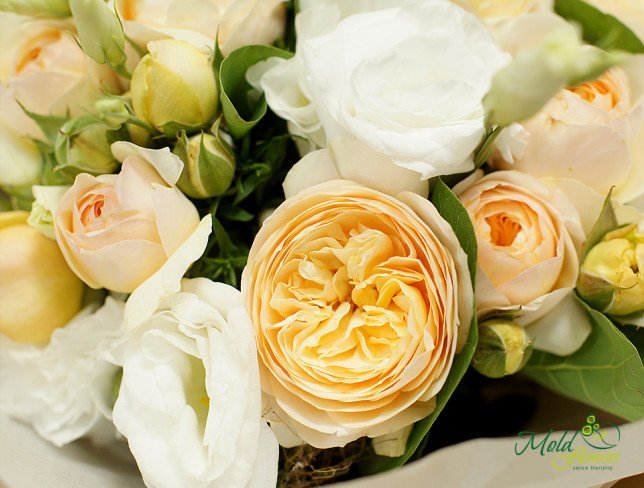 Букет из кремовых пионовидных роз и эустомы Фото