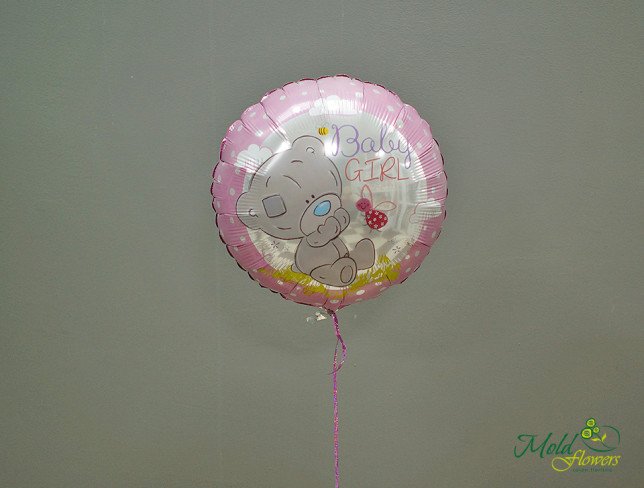 Фольгированный шарик "Baby girl" Фото