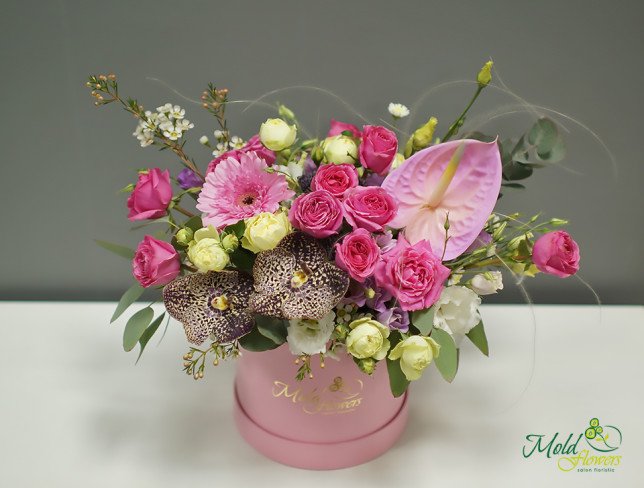 Pink Box with Roses, Vanda Orchid, and Anthurium photo