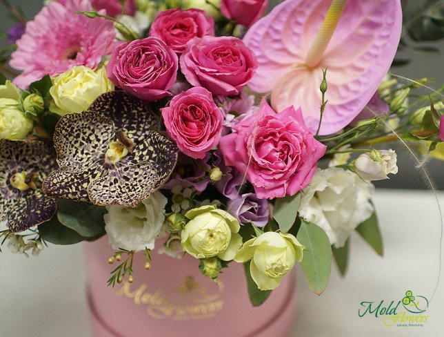 Pink Box with Roses, Vanda Orchid, and Anthurium photo