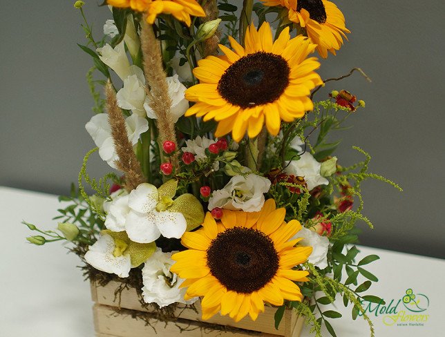 Box with sunflowers and lisianthus photo