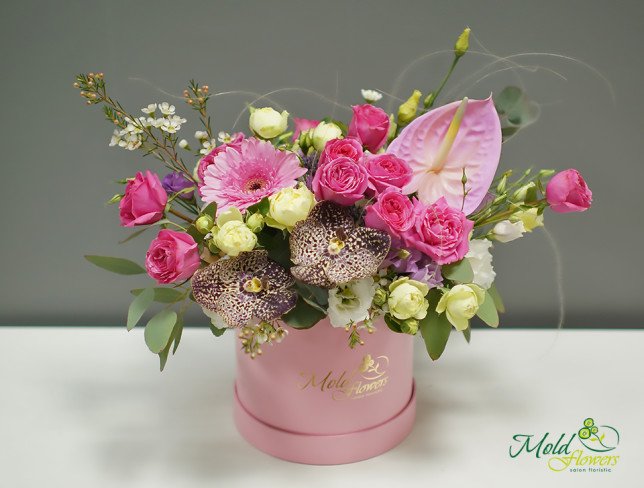 Pink Box with Roses, Vanda Orchid, and Anthurium photo