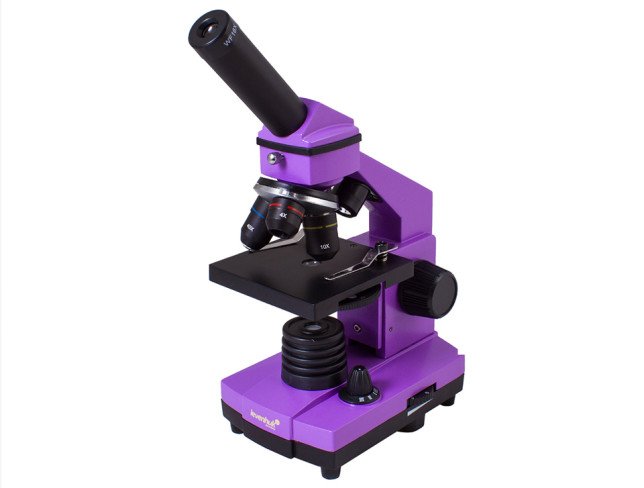 Microscope Levenhuk Rainbow 2L PLUS Amethyst photo
