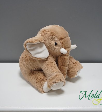 Plush Elephant, Height 29 cm photo 394x433