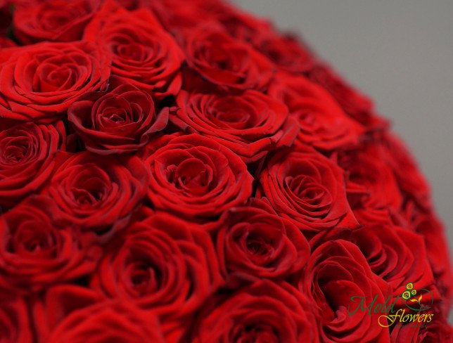 101 Trandafiri roșii olandezi 50-60 cm foto