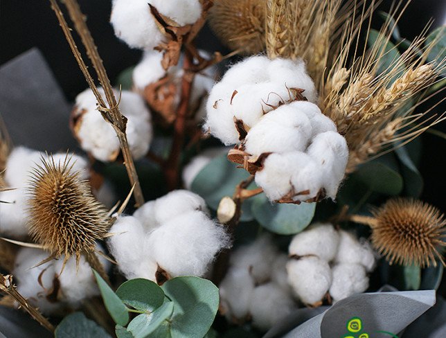 Bouquet of cotton and eucalyptus photo