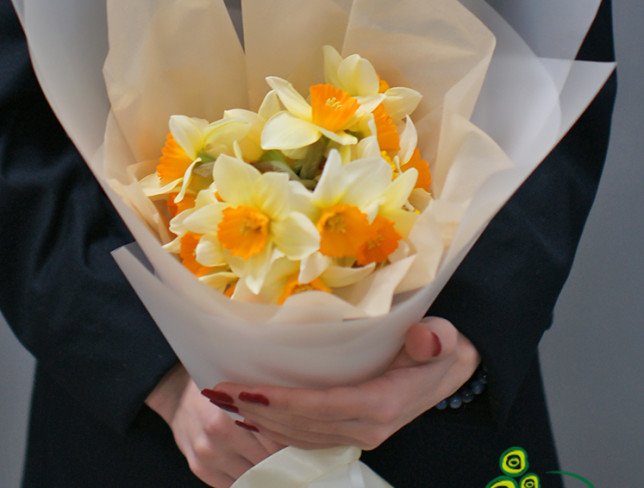 Bouquet of 19 daffodils photo