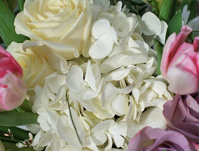 Box with white hydrangea and peony pink tulips photo
