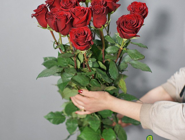 Buchet din 15 trandafiri rosii Olandeji Premium 90-100 cm (la comanda 5 zile) foto