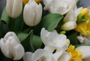 Bouquet of white Dutch tulips and freesias — photo 4