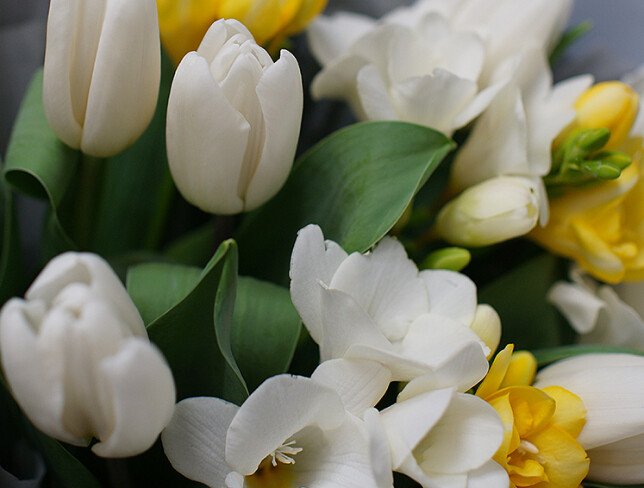 Bouquet of white Dutch tulips and freesias — photo 4