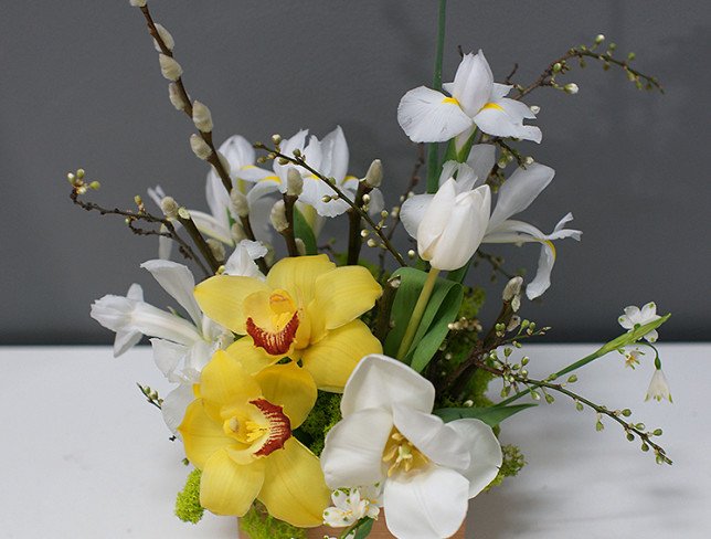 Box with orchids and white irises photo