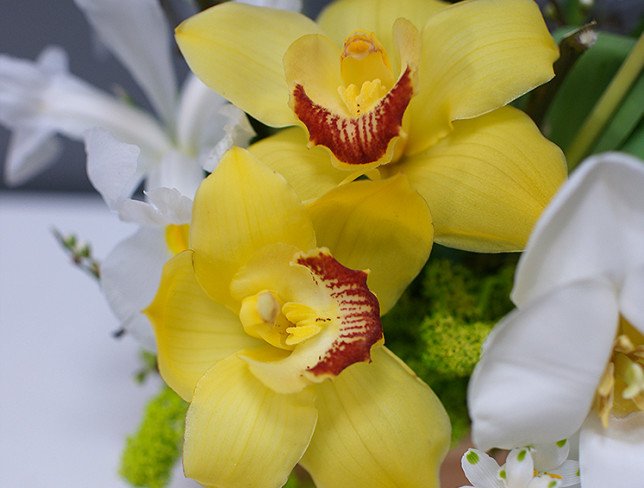 Lădiță cu orhidee și irisi albi foto