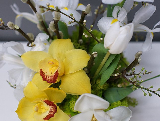 Lădiță cu orhidee și irisi albi foto