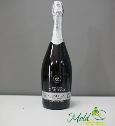 Cricova Crisecco Brut White Champagne 0.75L photo 394x433