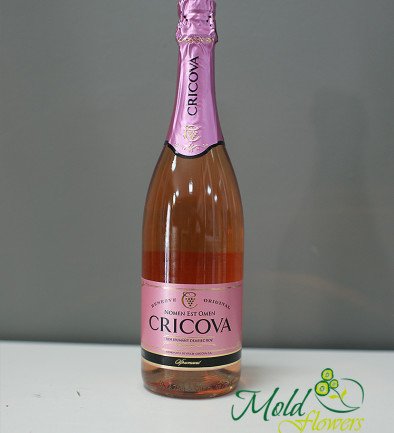Champagne Cricova rose photo 394x433