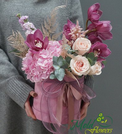 Cutie din catifea cu hortensie roz si orhidee foto 394x433