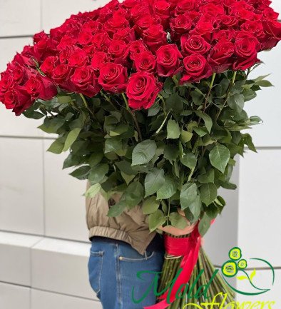 Роза красная 110-120 см (под заказ, 10 дней) Фото 394x433