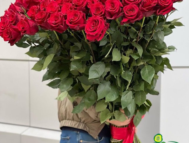Роза красная 110-120 см (под заказ, 10 дней) Фото