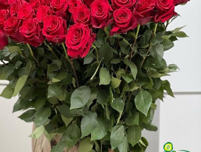 Trandafir roșu 110-120 cm (La comandă, 10 zile) foto
