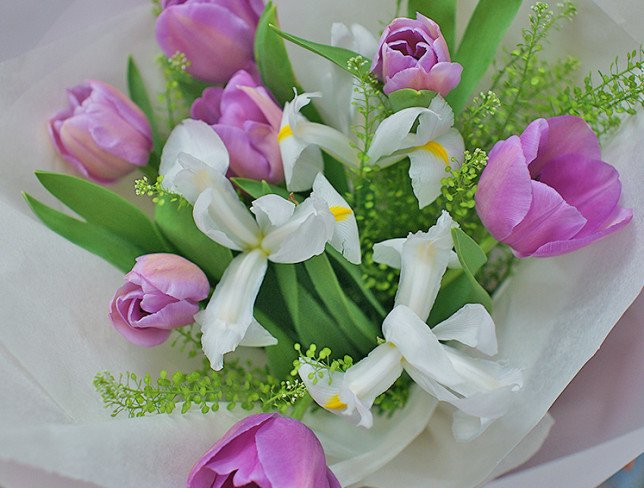 Bouquet with white irises and lavender Moldavian tulips photo