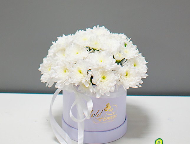 Cutie albă cu crizanteme albe „Puritate și onestitate” foto