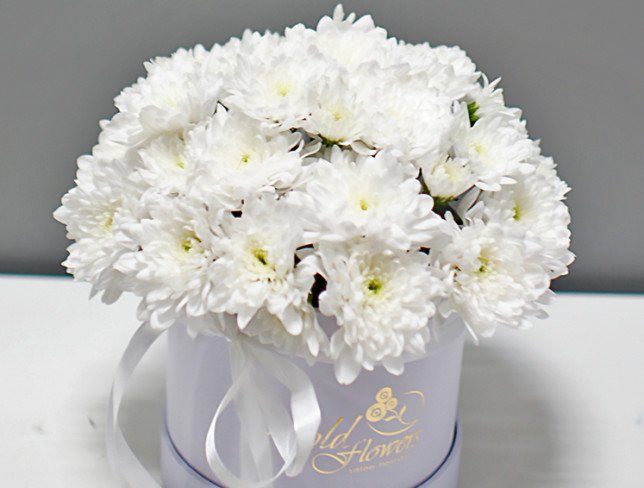 Белая коробка с белыми хризантемами ''Чистота и честность'' Фото