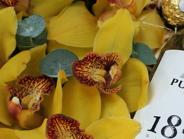 Cutie-inimă cu orhidei galbene, ciocolate și vin alb foto