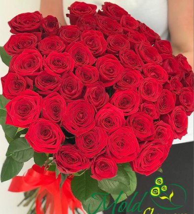 51 Trandafiri roșii Premium Olanda 80-90 cm (LA COMANDA 10 ZILE) foto 394x433