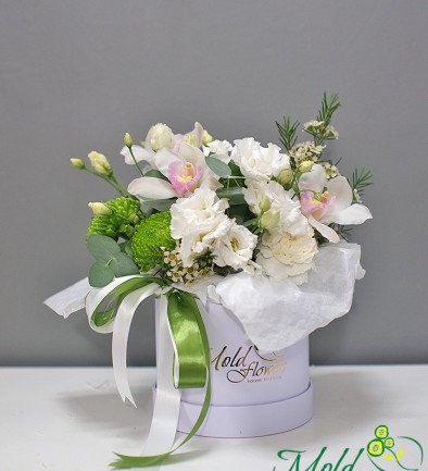 Box with green chrysanthemum, white orchid and eustoma photo 394x433