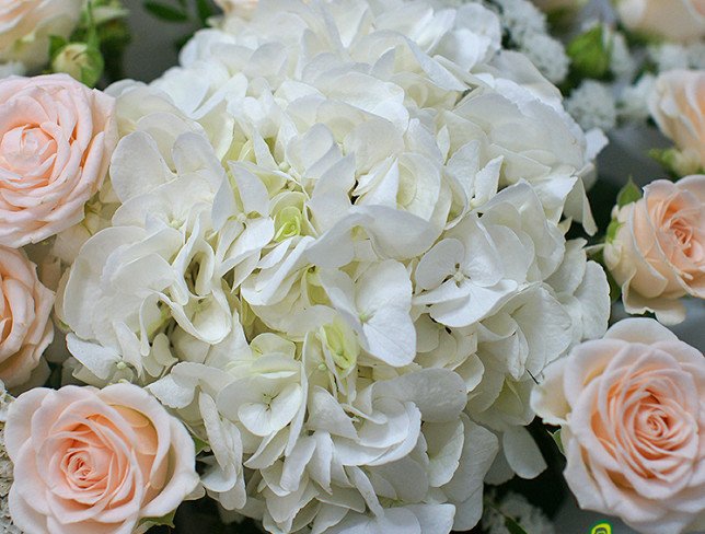 Букет с белой гортензией и кустовыми розами Фото