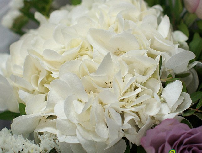 Buchet cu hortensie albă și trandafiri "Memory lane" foto