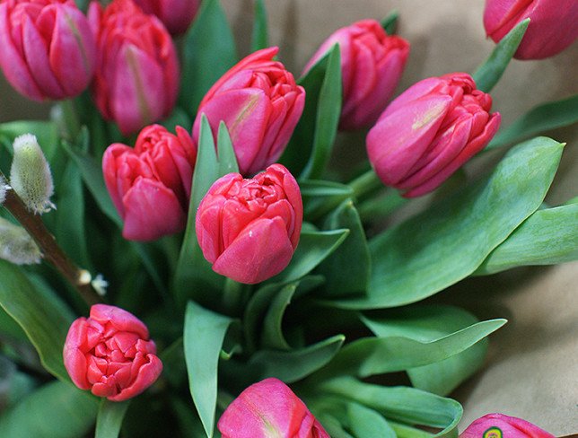 Букет из красных пионовидных тюльпанов Фото